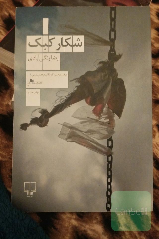 شکار کبک