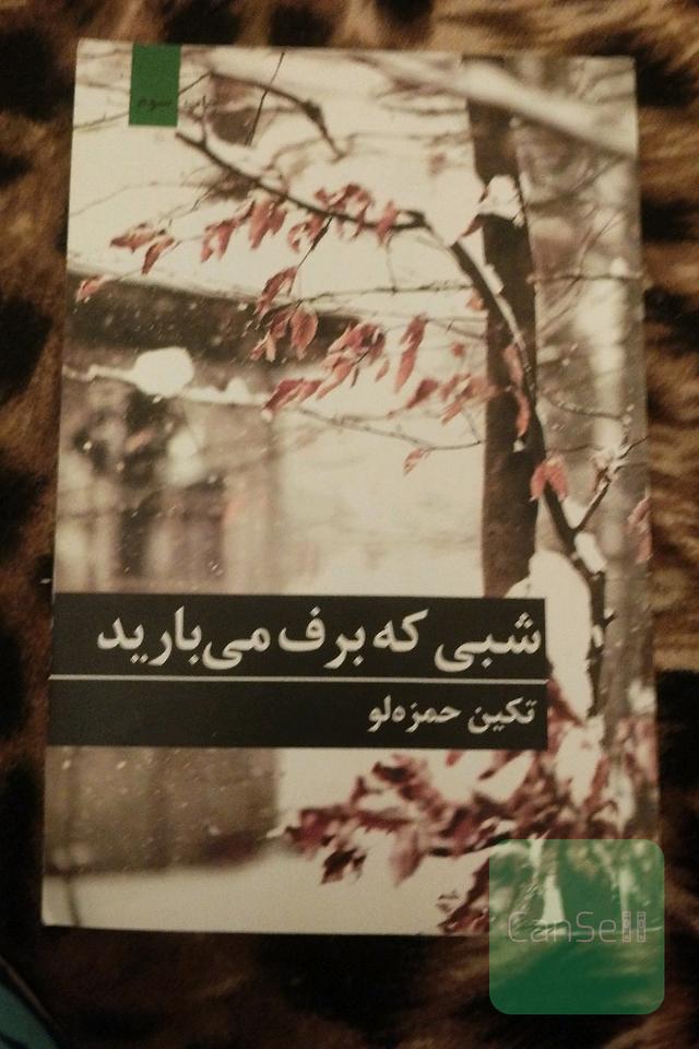 شبی که برف می بارید 