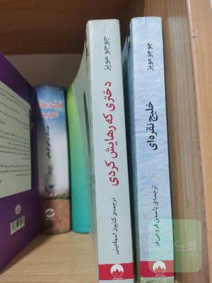 خلیج نقره‌ای و دختری که رهایش کردی