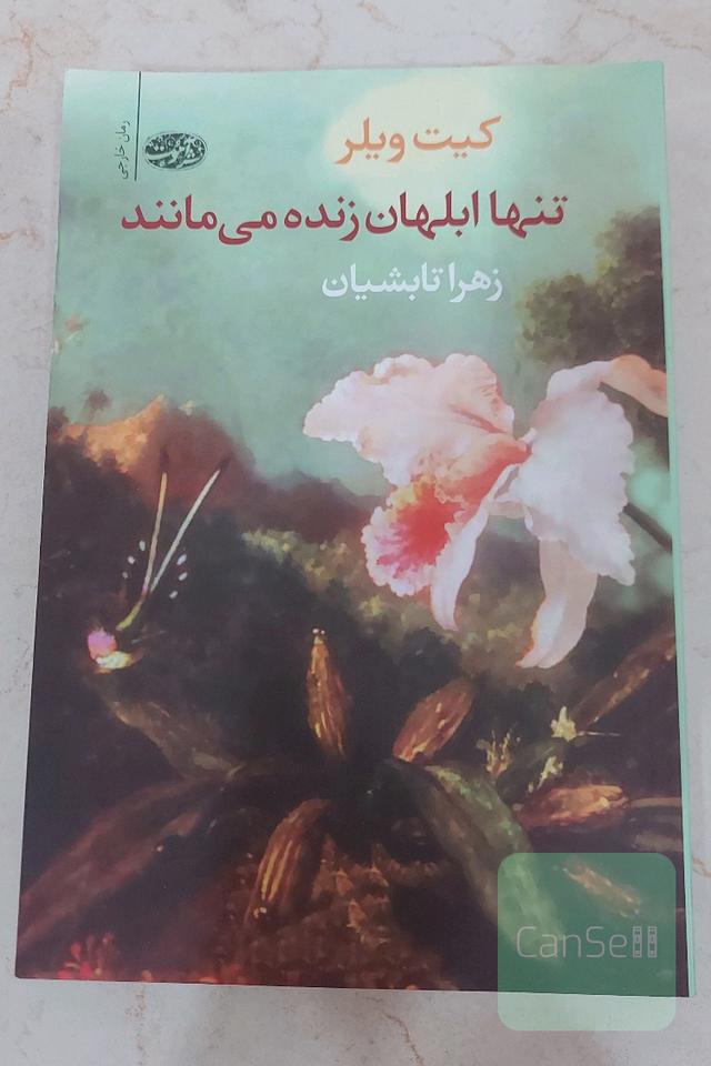 تنها ابلهان زنده می مانند