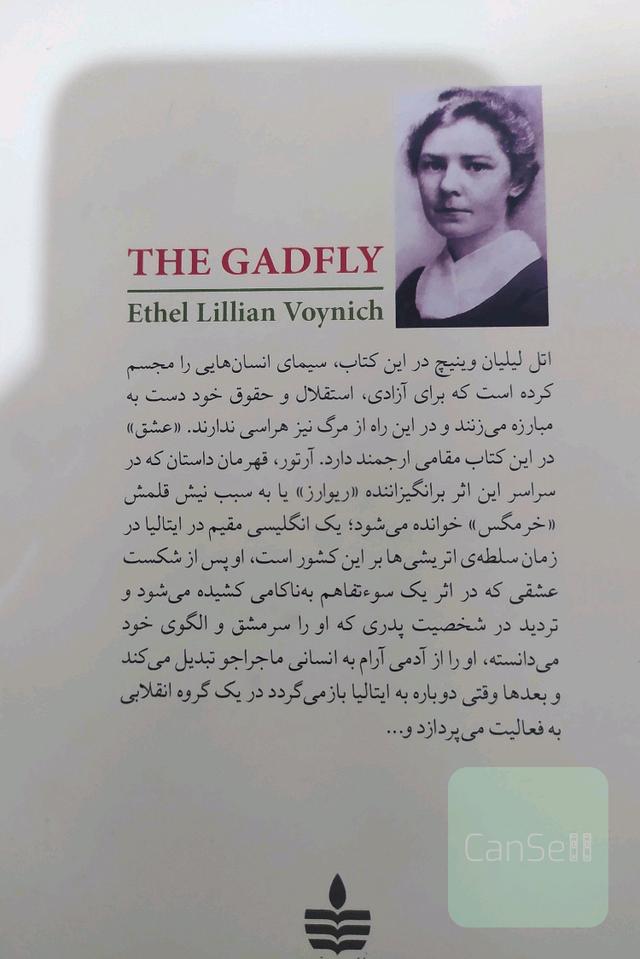 خرمگس