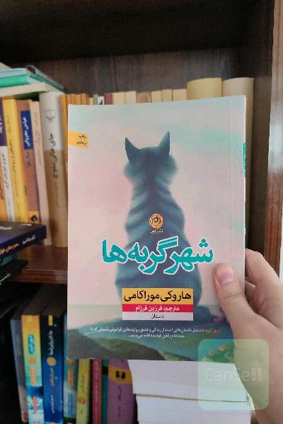شهر گربه‌ها