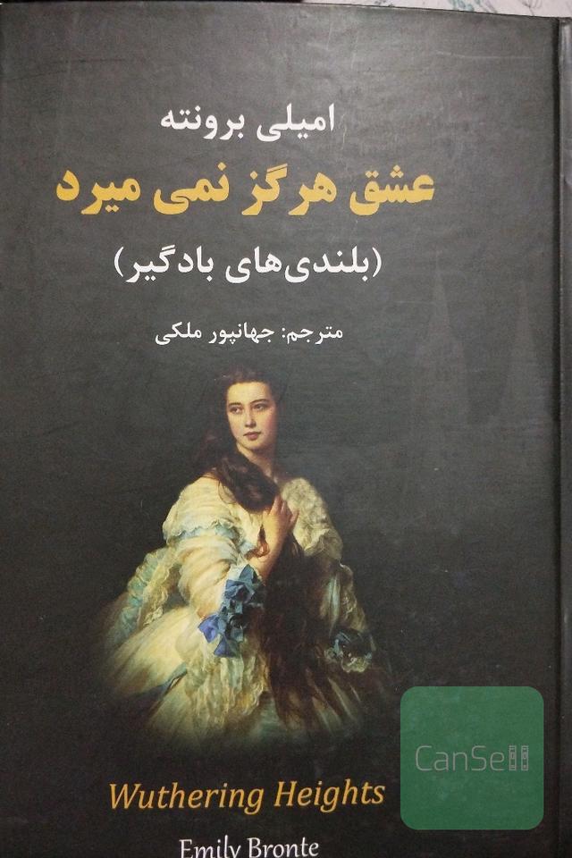 بلندی های بادگیر 