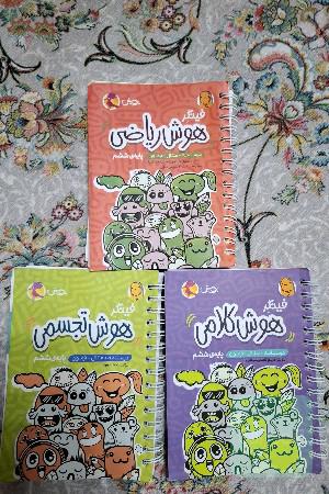 هوش کلامی، هوش ریاضی، هوش تجسمی