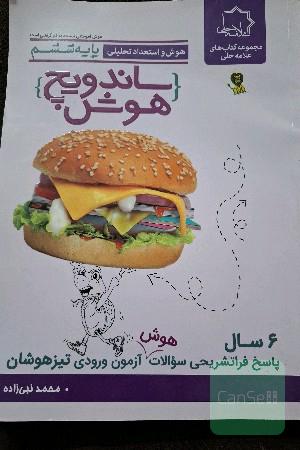 ساندویچ هوش