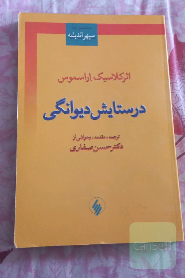 در ستایش دیوانگی