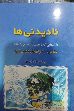نادیدنی ها (آن هوایی که با چشم دیده نمی شوند)