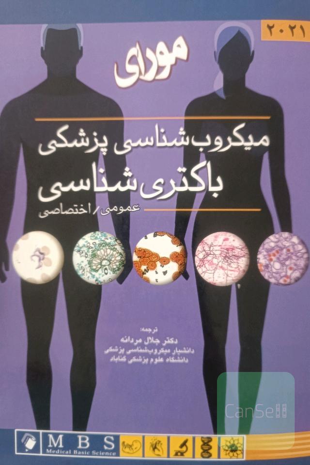 میکروب‌شناسی پزشکی، باکتری‌شناسی 