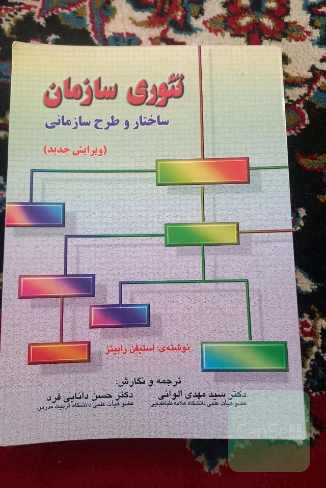 تئوری سازمان 