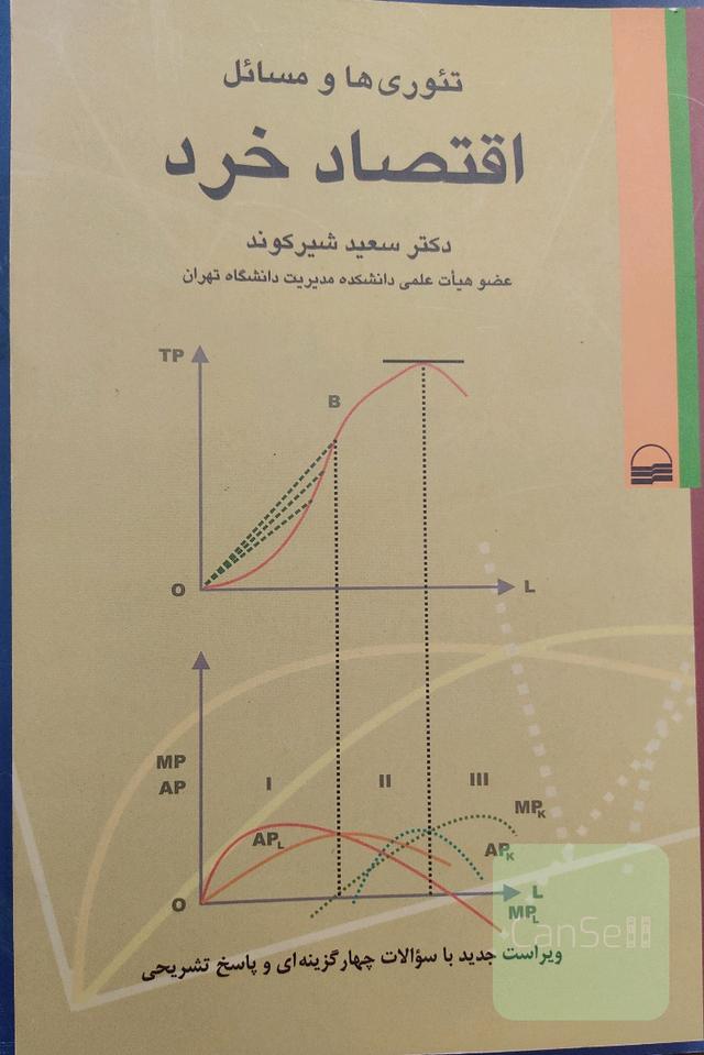 تئوری‌ها و مسائل اقتصاد خرد