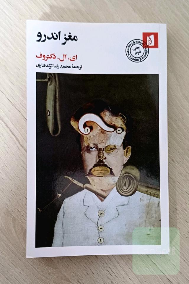 مغز اندرو
