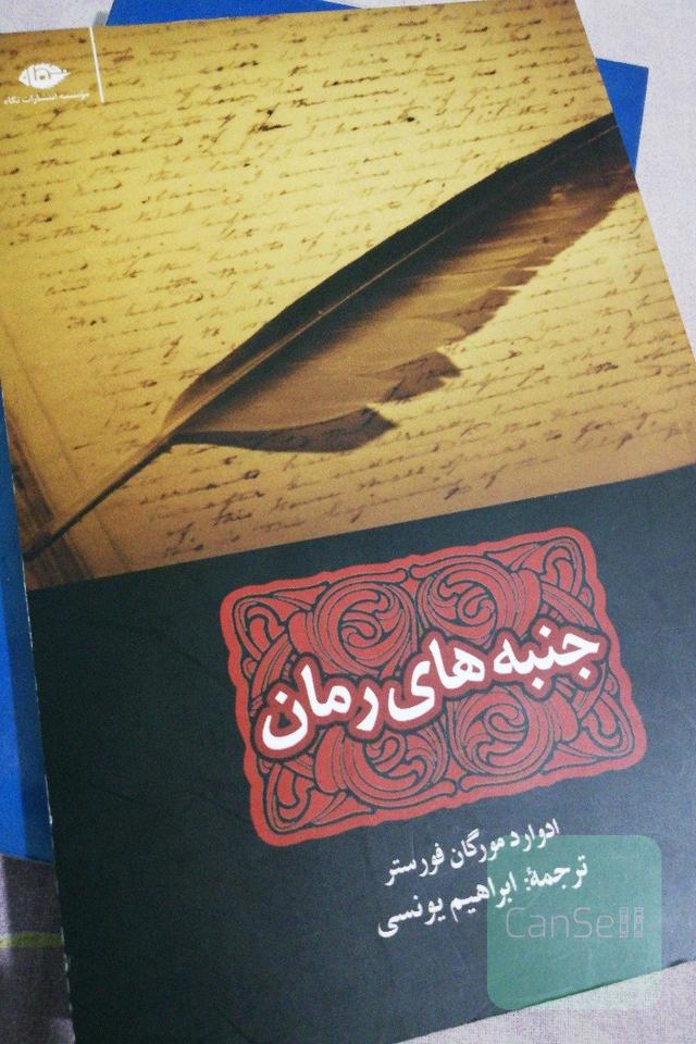جنبه‌های رمان
