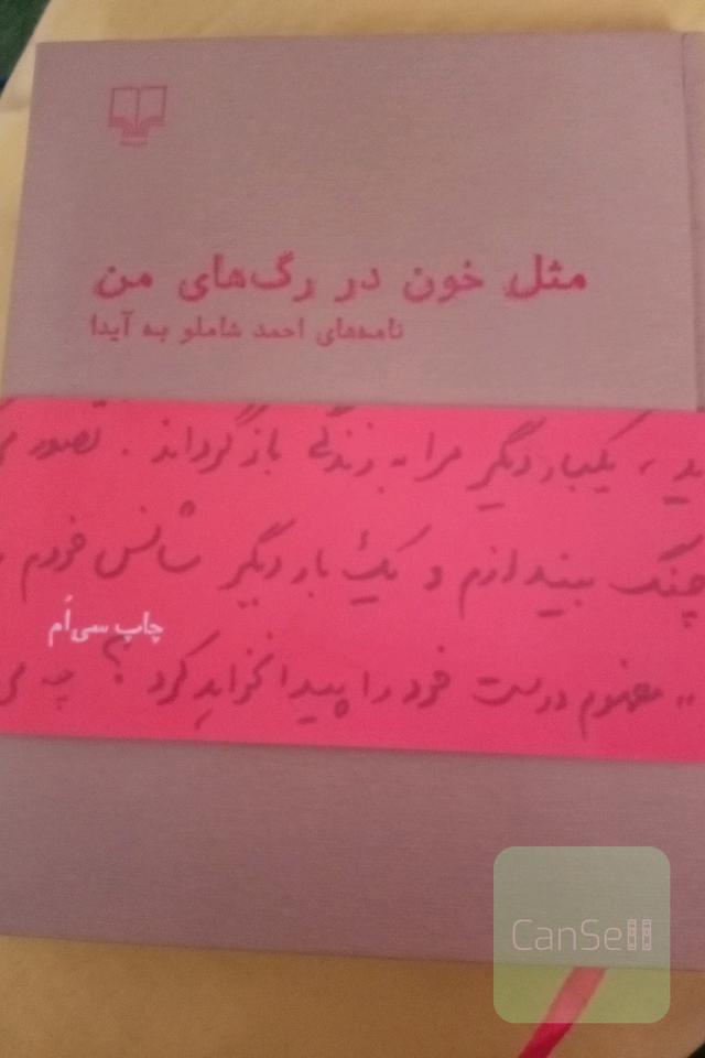 مثل خون در رگ‌های من: نامه‌های احمد شاملو به آیدا