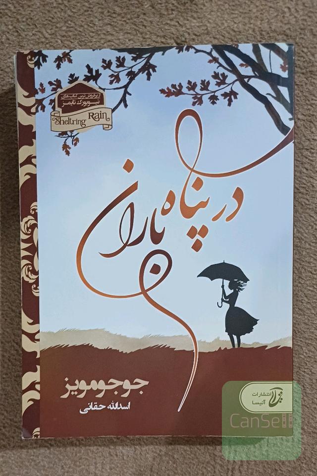 در پناه باران