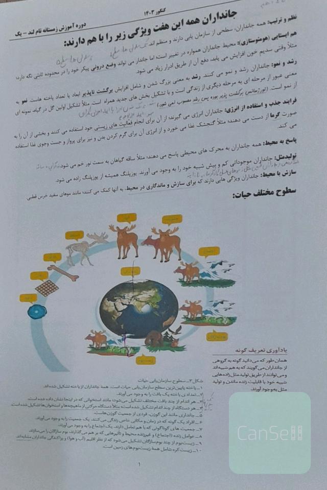 جزوه کاموا تاملند 