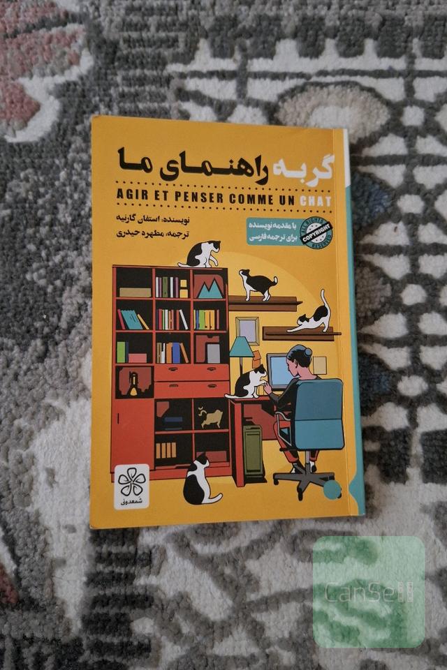 گربه راهنمای ما