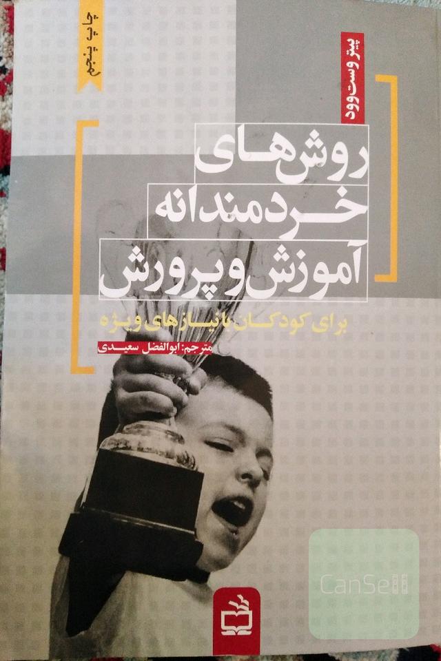روش‌های خردمندانه آموزش و پرورش برای کودکان با نیازهای ویژه