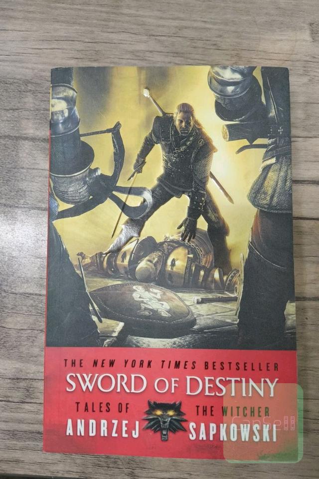 the witcher