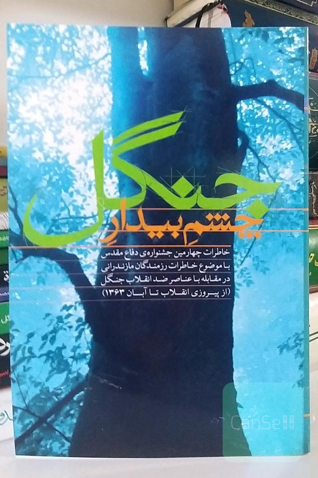 چشم بیدار جنگل