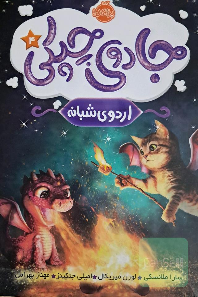 اردوی شبانه