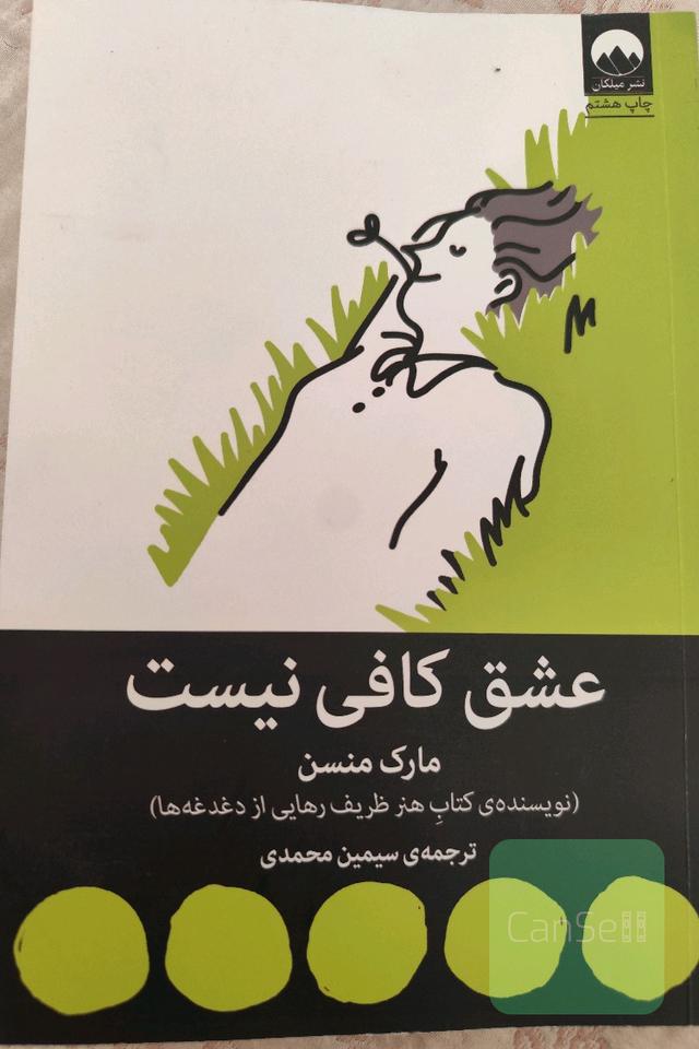 عشق کافی نیست و چند مقاله‌ی دیگر