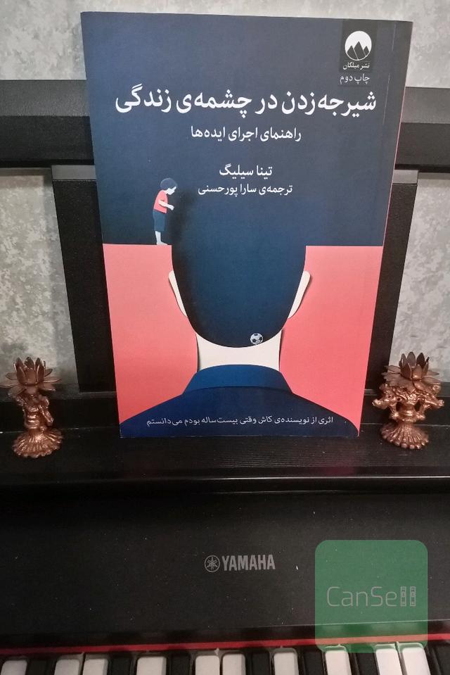 شیرجه زدن در چشمه زندگی (راهنمای اجرای ایده‌ها)