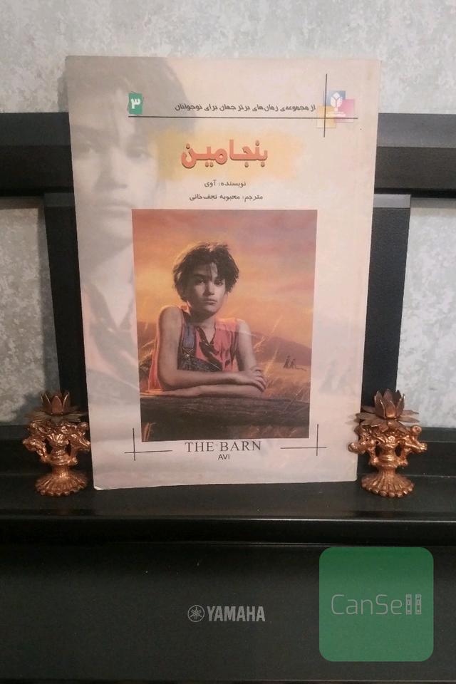 بنجامین (رمان نوجوان)