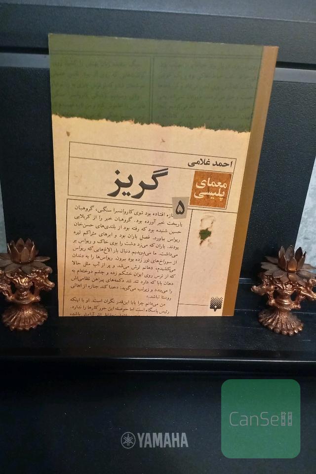 گریز (مجموعه معماهای پلیسی)