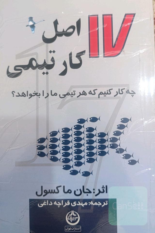 17 اصل کار تیمی: چه کار کنیم که هر تیمی ما را بخواهد؟