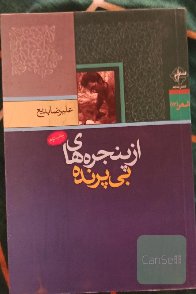 از پنجره های بی پرنده 