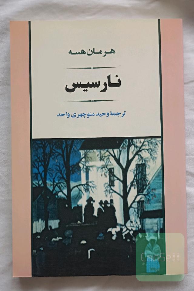 نارسیس