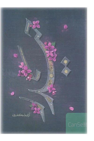 حیدر 
