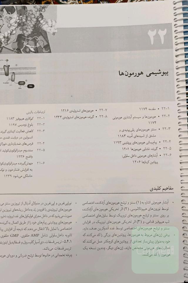 بیوشیمی هورمون ها 