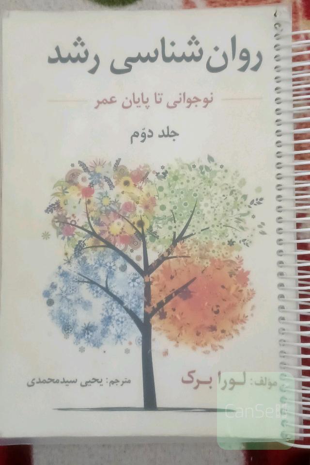 روان‌شناسی رشد (نوجوانی: انتقال به بزرگسالی)