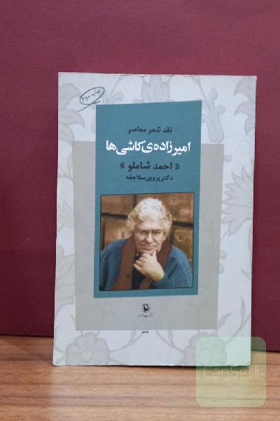 امیرزاده کاشی‌ها 