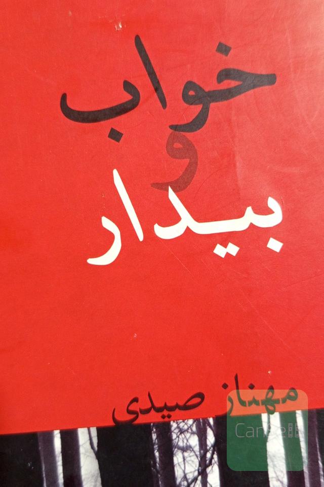 خواب و بیدار