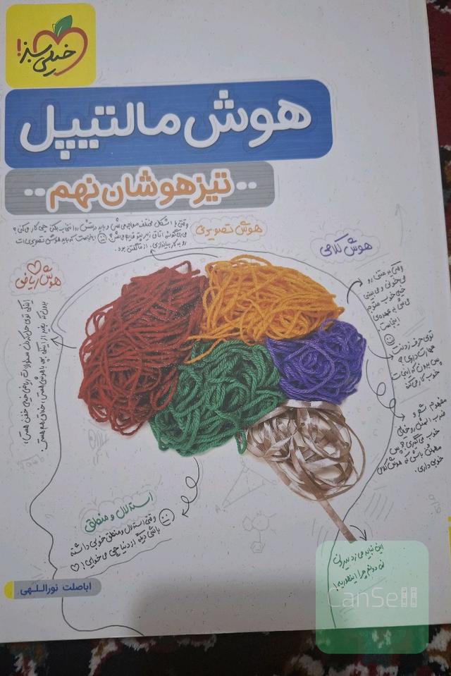 هوش مالتیپل نهم
