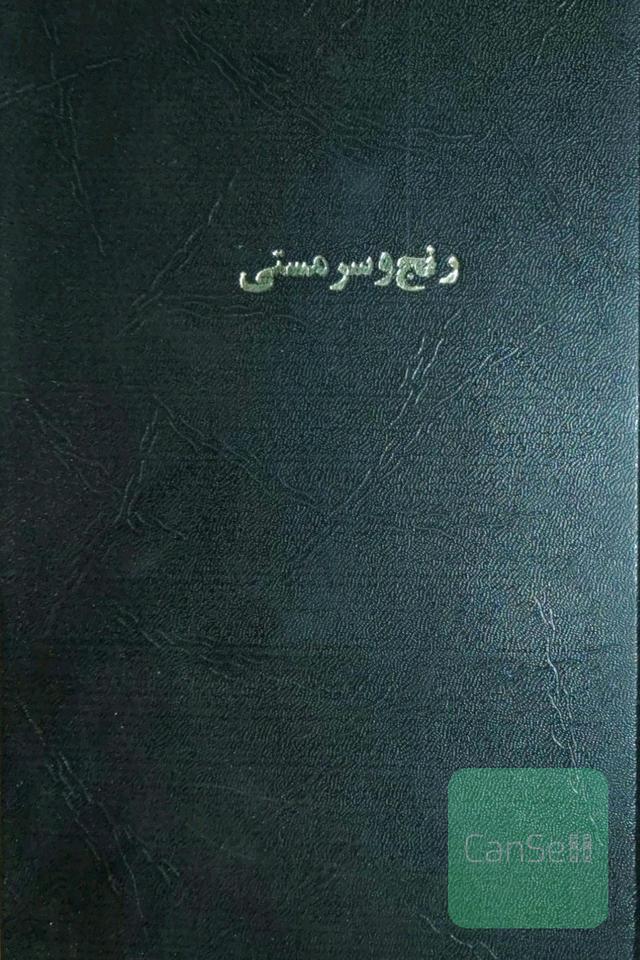 رنج وسرمستی داستان زندگی میکل آنژ