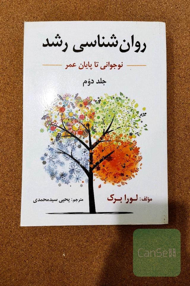 روان‌شناسی رشد (نوجوانی: انتقال به بزرگسالی)