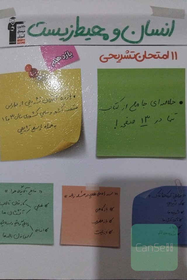 انسان محیط زیست