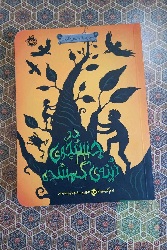 در جستجوی آینه‌ی گمشده
