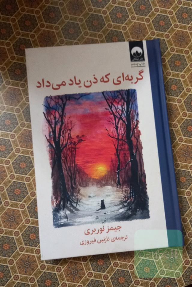 گربه ای که ذن یاد می داد 
