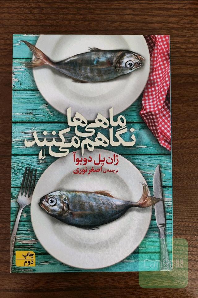 ماهی‌ها نگاهم می‌کنند