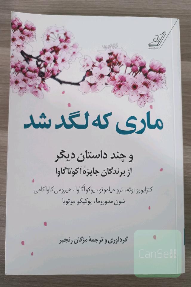 ماری که لگد شد