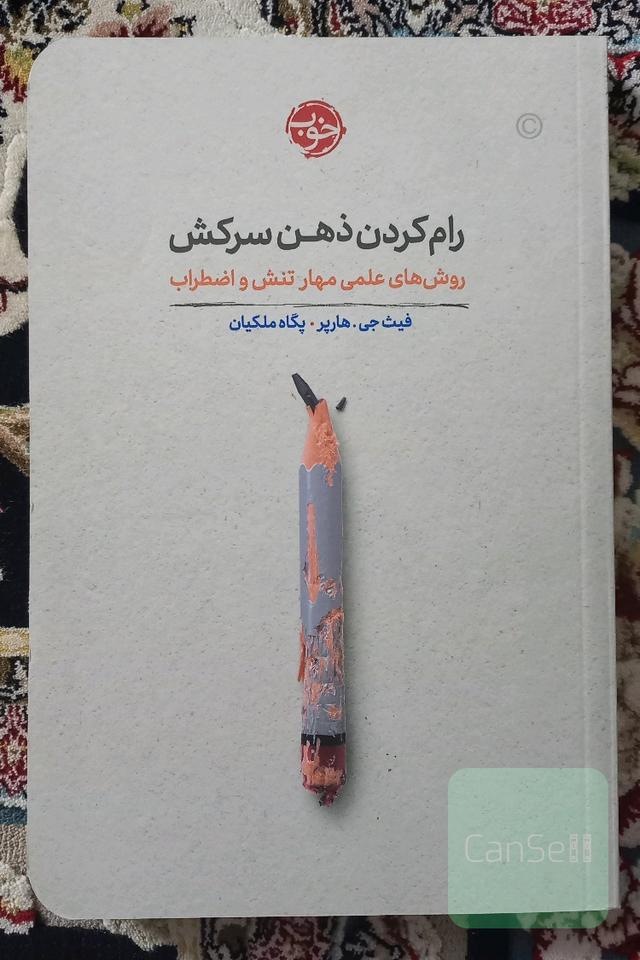 رام کردن ذهن سرکش