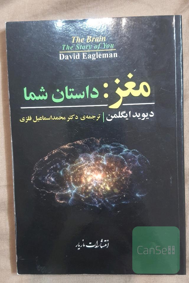مغز داستان شما