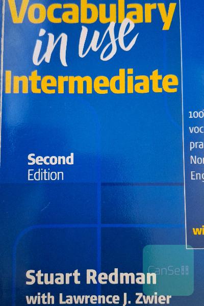 vocabulary in use intermediate 