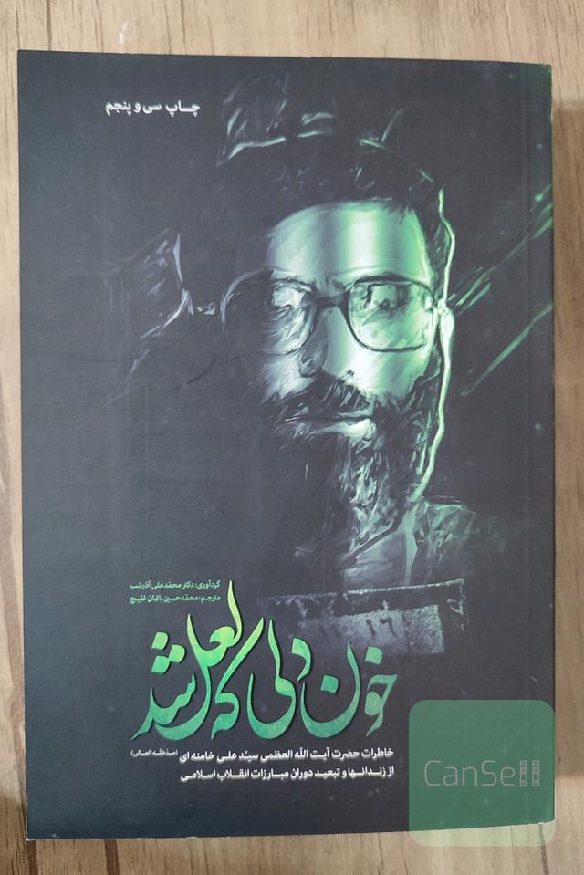 خون دلی که لعل شد