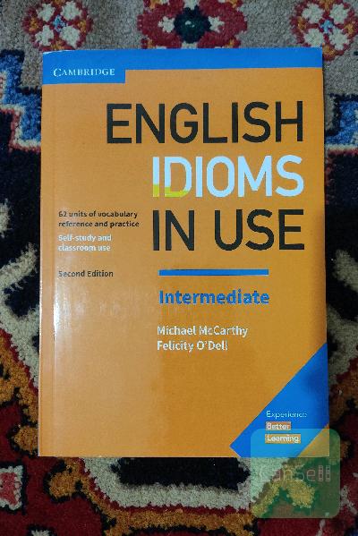 English idioms in use (intermediate)
