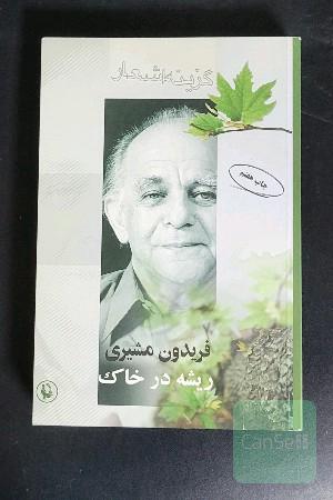 ریشه در خاک 